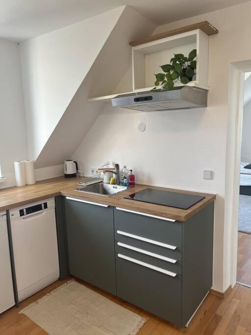 Cozy City Center Apartment グラーツ エクステリア 写真